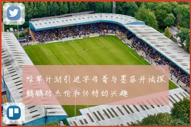 绿军计划引进字母哥与墨菲并试探鹈鹕对杰伦和怀特的兴趣
