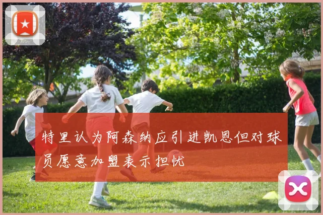 特里认为阿森纳应引进凯恩但对球员愿意加盟表示担忧